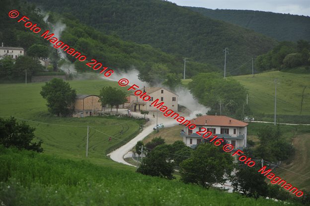 DSC_7104.JPG